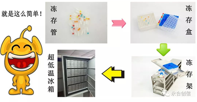 樣本凍存解決方案之凍存架、凍存盒、凍存管