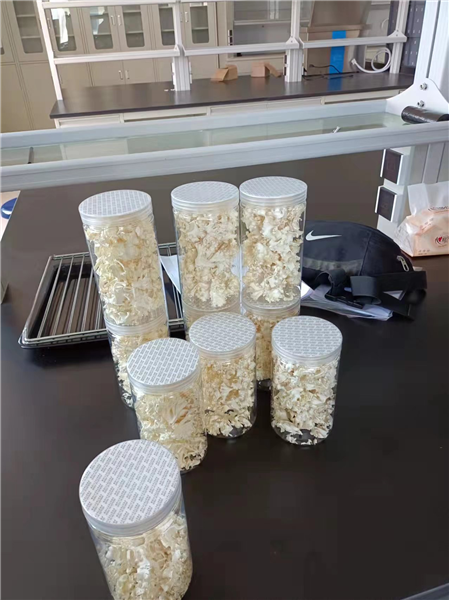 如何使用能延長凍干機(jī)的使用壽命？