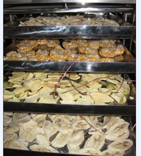 冷凍干燥機在食品凍干加工中需要注意哪些細節(jié)？