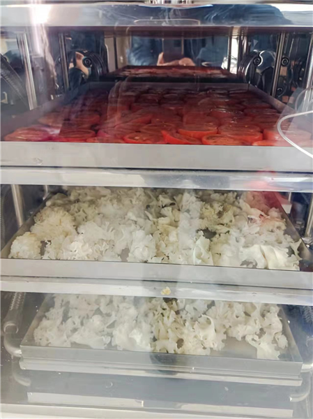 如何使用冷凍干燥機能延長其使用壽命？